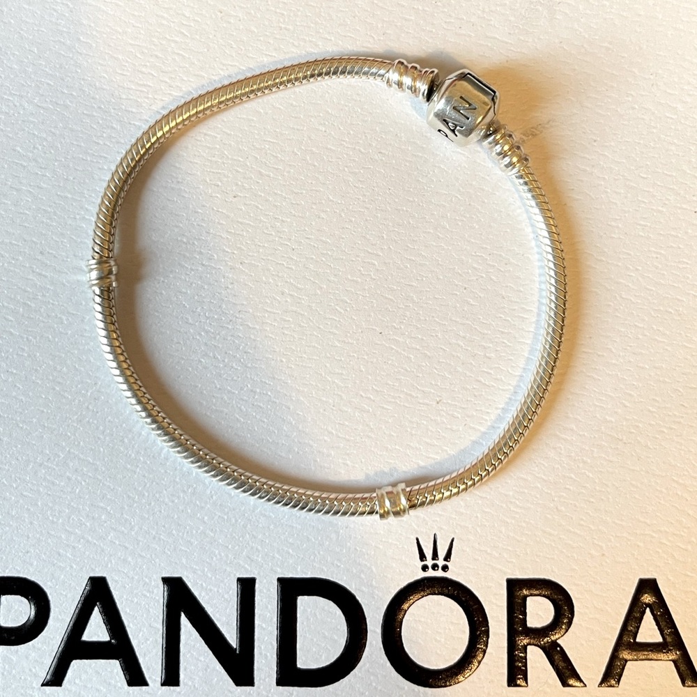 Pandora Moments Snake Chain Bracelet